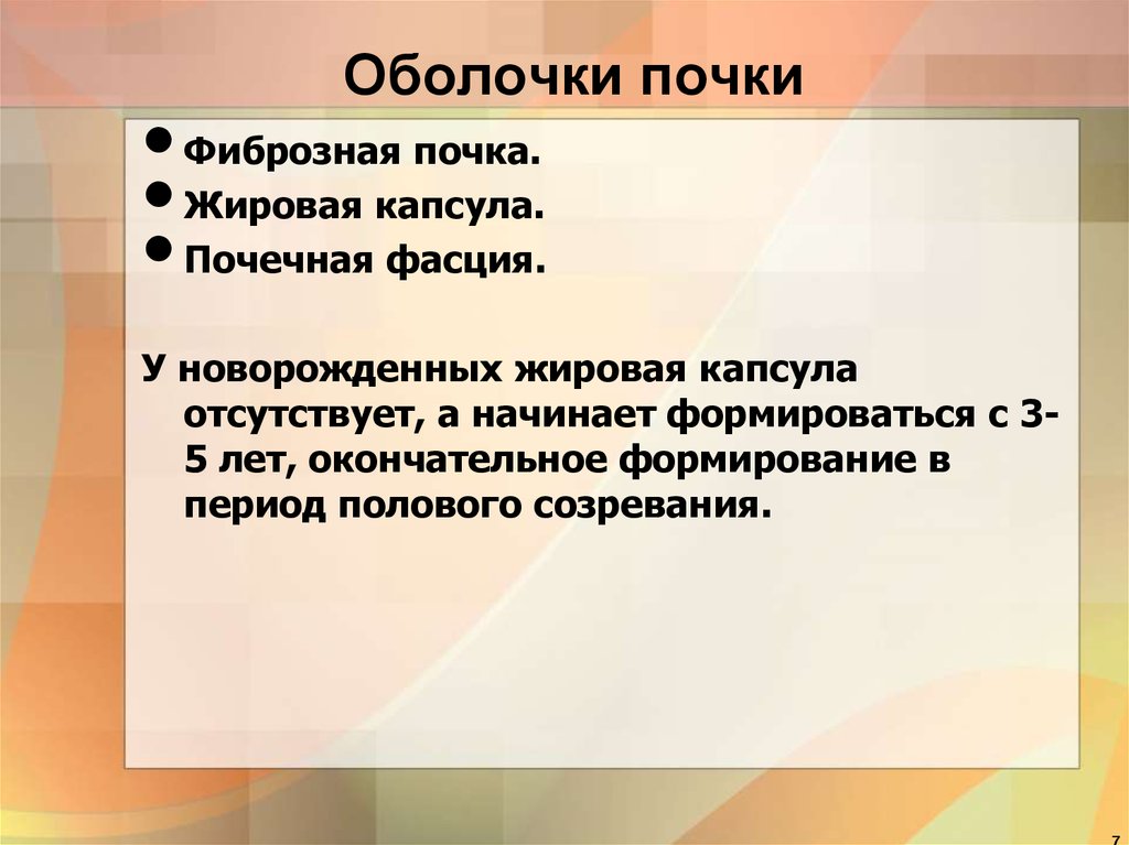 Окончательное формирование. Фиброзная оболочка почки. Фиброзная оболочка капсулы почки. В составе оболочек почки отсутствует.