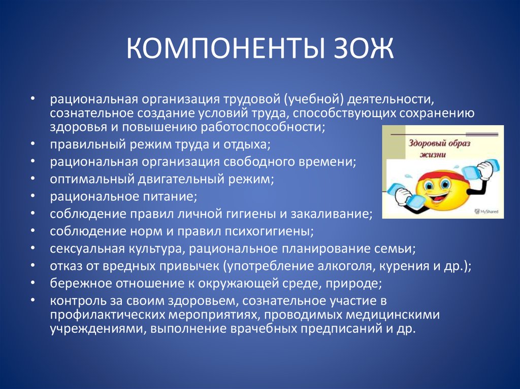 Зож компоненты презентация