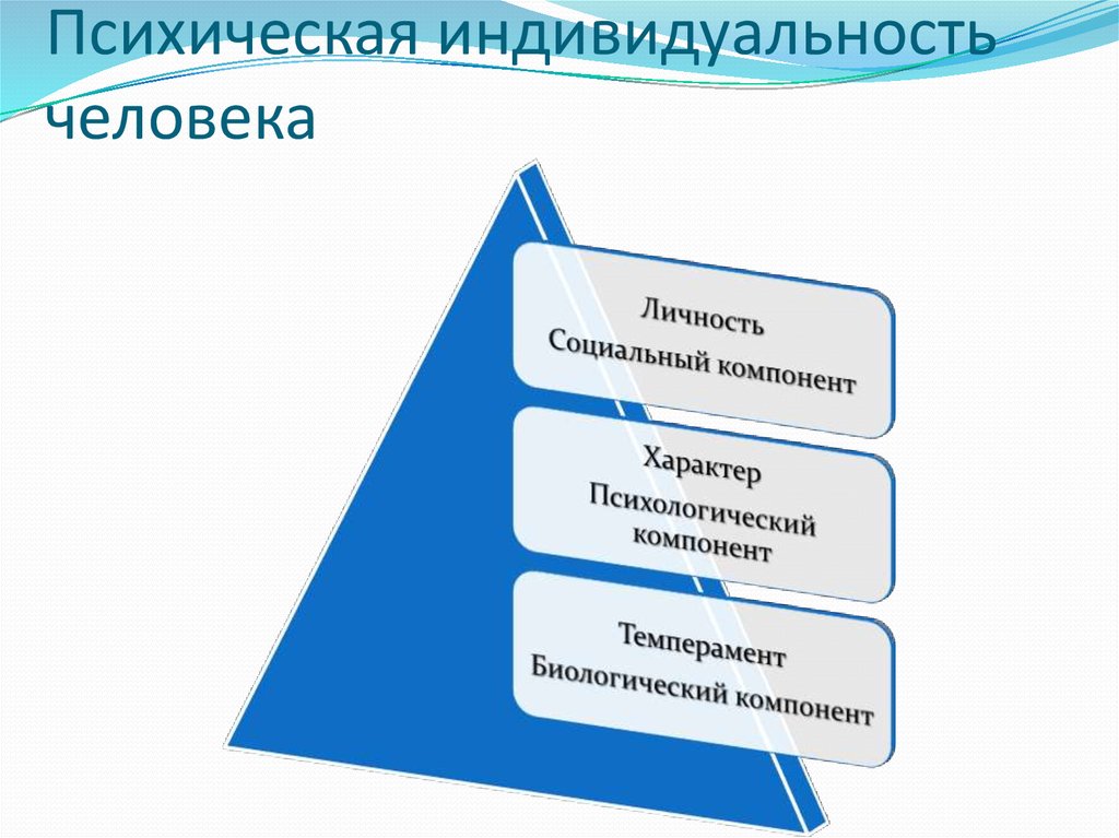 Психическая индивидуальность человека
