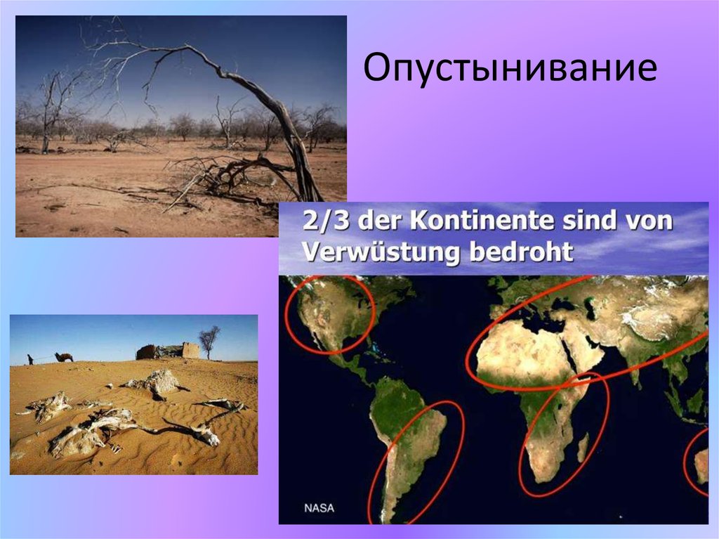 Презентация на тему опустынивание