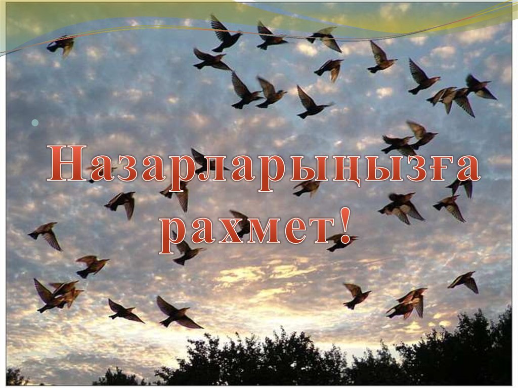 Назарларыңызға рахмет!