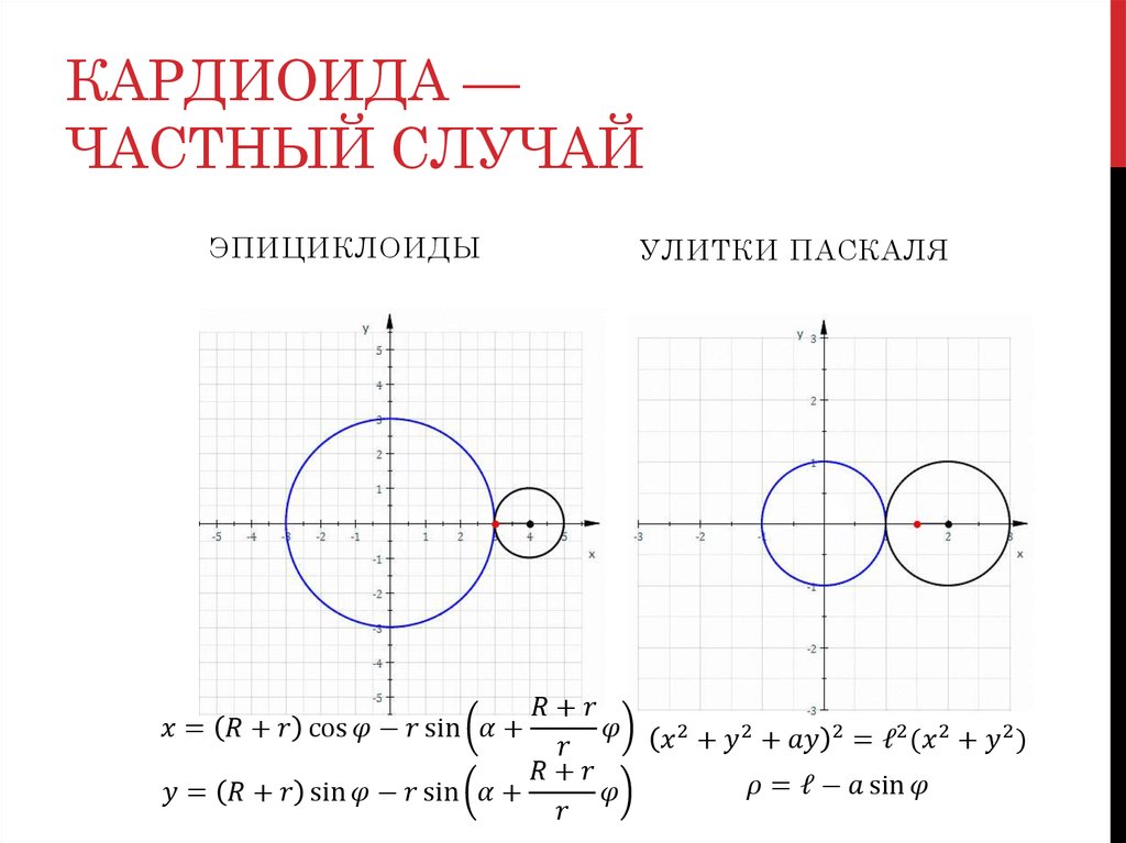 Улитка паскаля рисунок