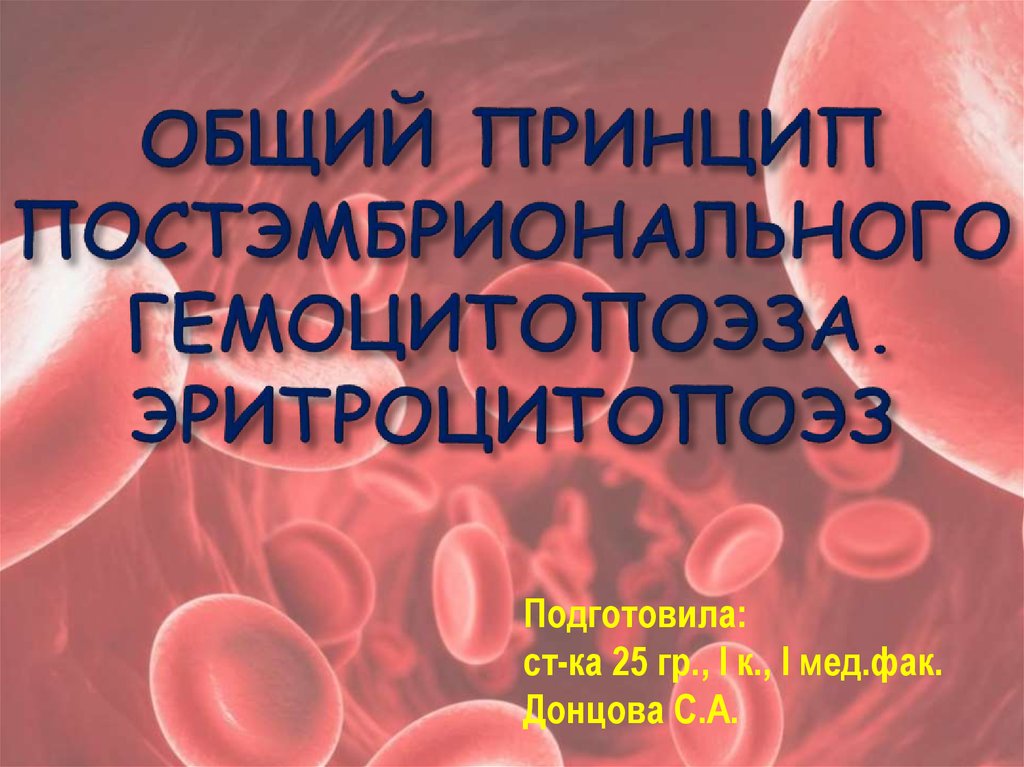 Эритроцитопоэз. Эритроцитопоэз