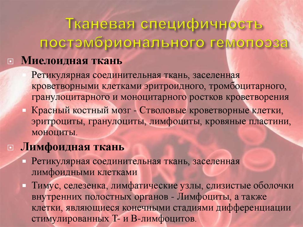 Эритроцитопоэз. Эритроцитопоэз