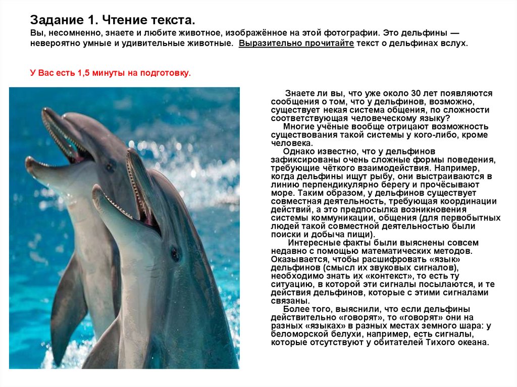 Дельфины слова текст. Дельфины удивительные животные. Текст про дельфинов. Дельфины текст. Слово дельфины.