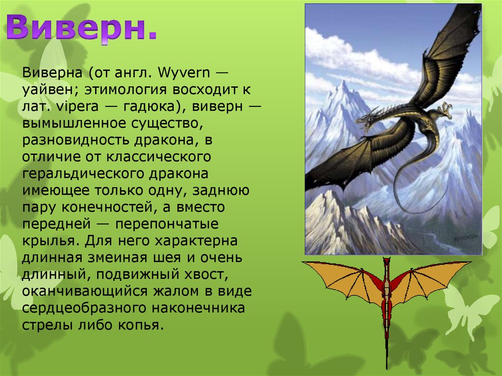 Чем отличаются драконы. Дракон для презентации. Виверна и дракон разница. Классификация драконов ВИВЕРН. ВИВЕРНЫ И драконы различия.