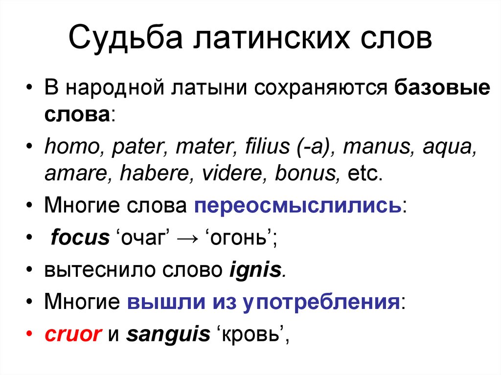 Судьба перевод. Латинские слова. Слова на латыни.