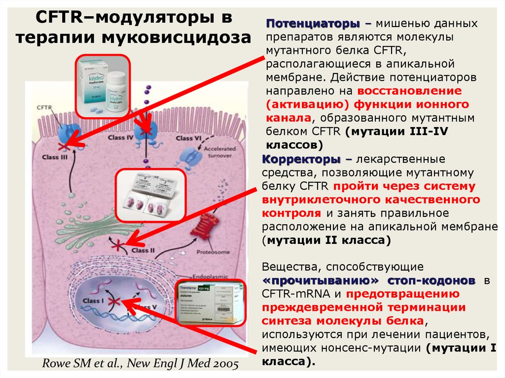 Лечение муковисцидоза презентация