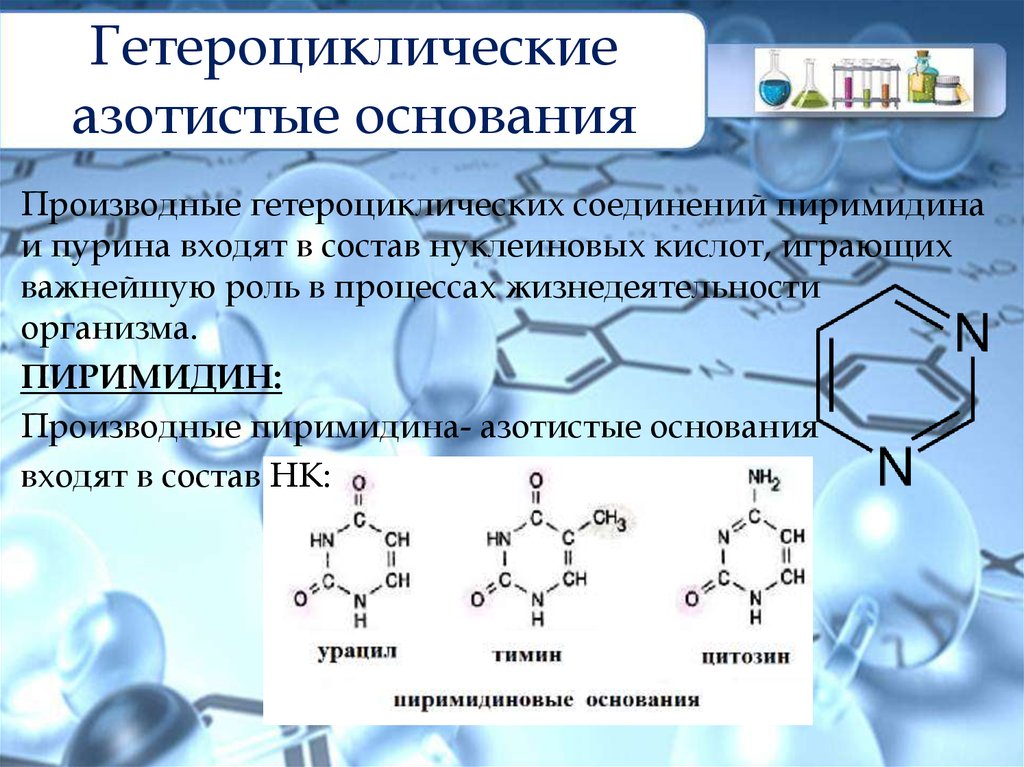 Азотсодержащие гетероциклические соединения. Производные гетероциклических соединений. Соединение азотистых оснований.