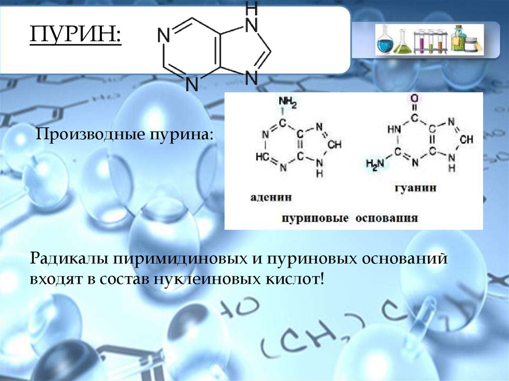 Азотсодержащие гетероциклические соединения нуклеиновые кислоты презентация 10 класс