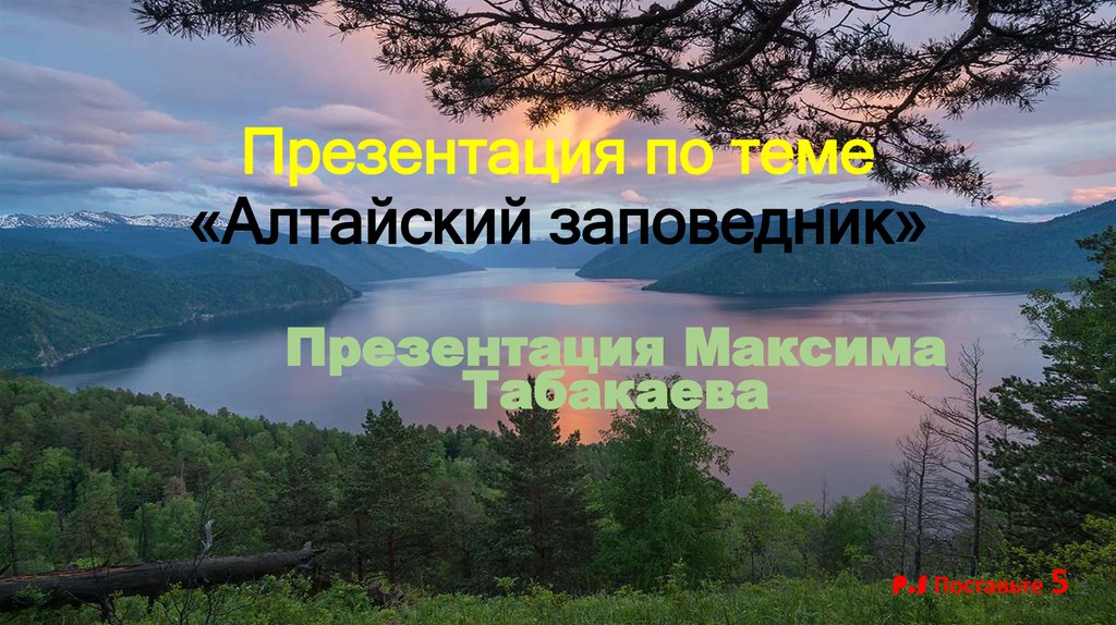 Алтайский заповедник презентация. Презентация на тему Алтайский заповедник. Алтайский заповедник с надписью. Горы Алтайского заповедника презентация.