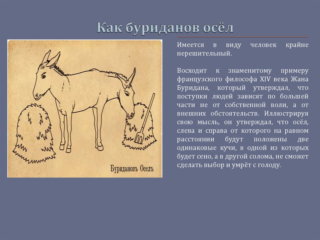 Что имеется в виду. Буриданов ослик. Буриданов осел. Буриданов осел фразеологизм. Философский парадокс Буриданов осел.