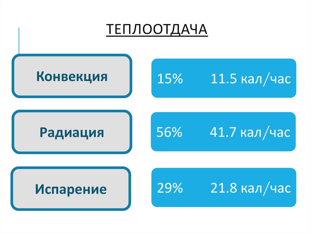 Теплоотдача