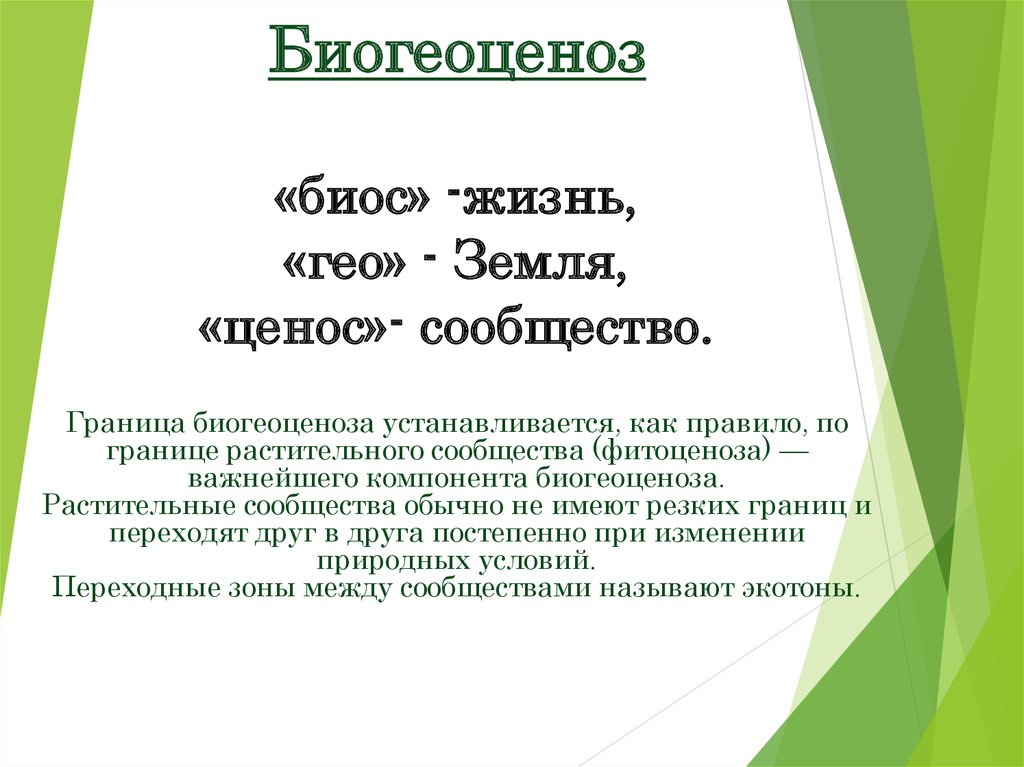 Презентация по биологии 9 класс развитие и смена биогеоценозов