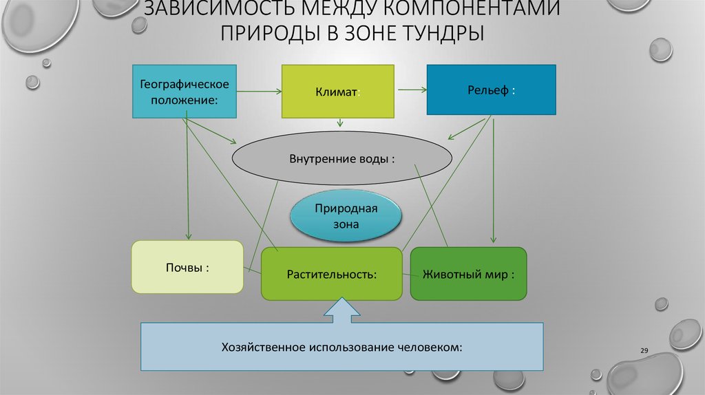 Установите соответствие между показанными на рисунке компонентами природной среды и их основными