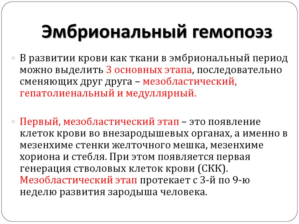 Этапы гемопоэза. Периоды эмбрионального кроветворения таблица. Периоды эмбрионального гемопоэза таблица. Периоды эмбрионального кроветворения. Основные этапы эмбрионального кроветворения.