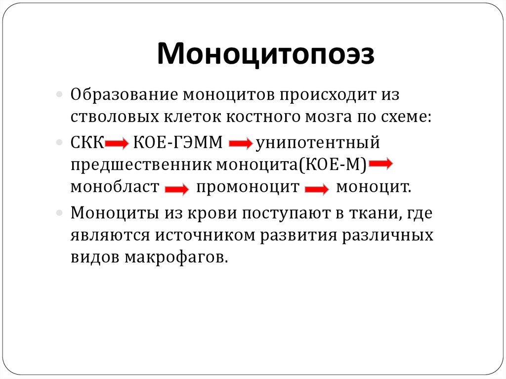 Средства влияющие на гемопоэз презентация