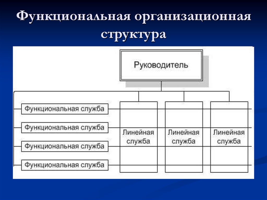 Линейная дивизиональная матричная структура