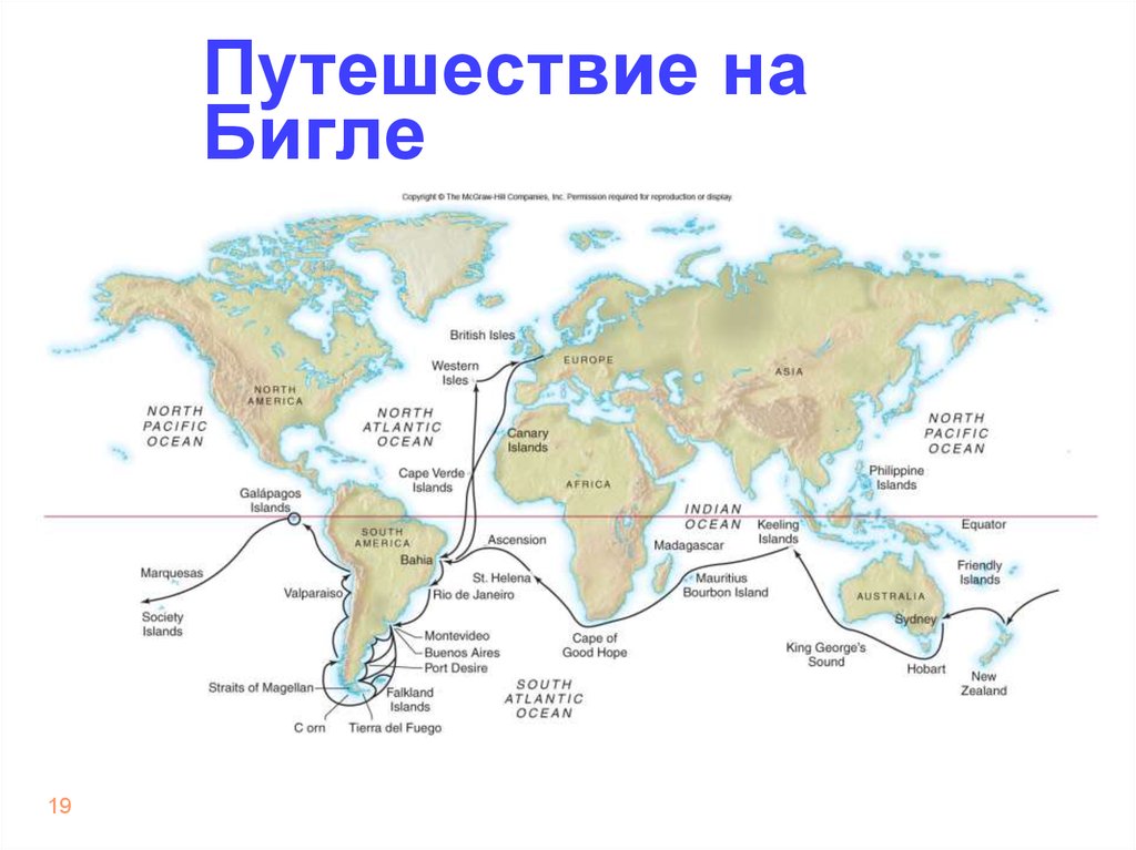 Ч дарвин кругосветное путешествие. Кругосветное путешествие Чарльза Дарвина карта. Маршрут путешествия Чарльза Дарвина. Маршрут кругосветного путешествия Чарльза Дарвина. Карта путешествия Чарльза Дарвина.