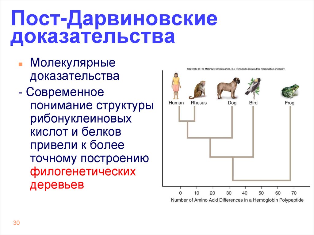 Краткая история эволюции