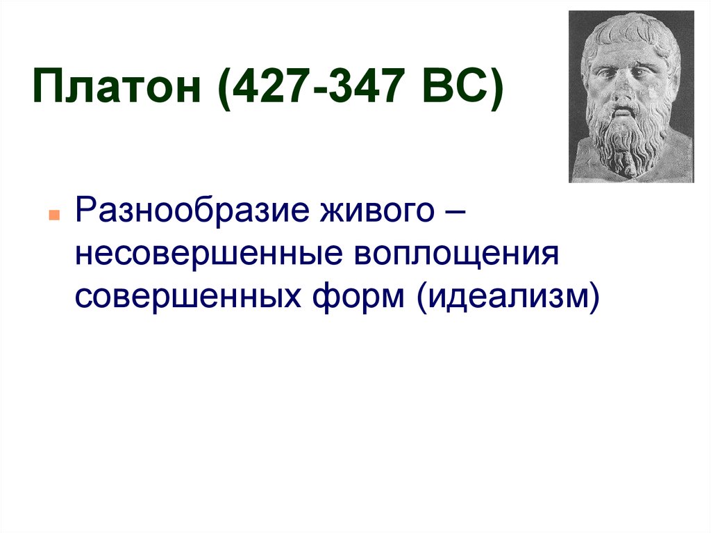 Платон (427- 347 до н.э.). Идеализм Платона. Платон родоначальник идеализма. Платон идеализм Платона.