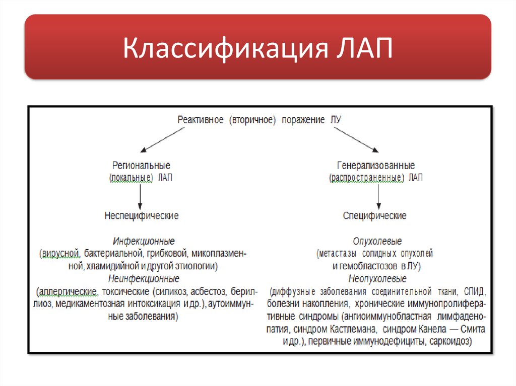 Классификация ЛАП