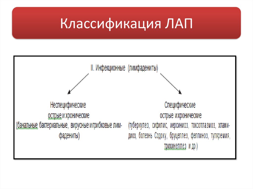 Классификация ЛАП