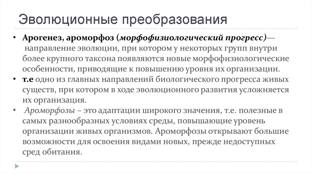 Прогресс живые. Эволюционные преобразования. Механизм эволюционного преобразования. Эволюционные преобразования человека. Особенности эволюции преобразования.