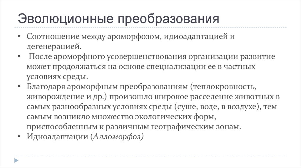 Преобразование организма. Эволюционные преобразования. Эволюционные преобразования животных. Эволюционные преобразования животных кратко. Эволюционные преобразования живот.