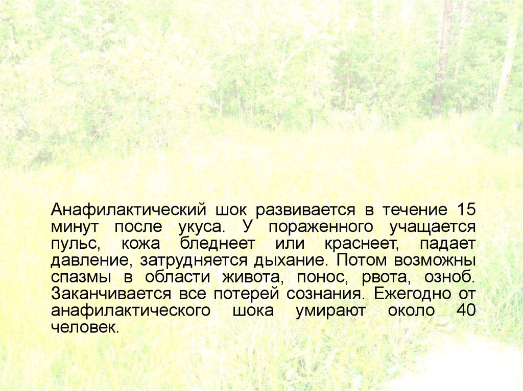 часы четверть часа. в течении двадцати минут. кал на простейшие доставляется в лабораторию. норма пульса в 10 секунд. перерывы в работе при работе за компьютером.