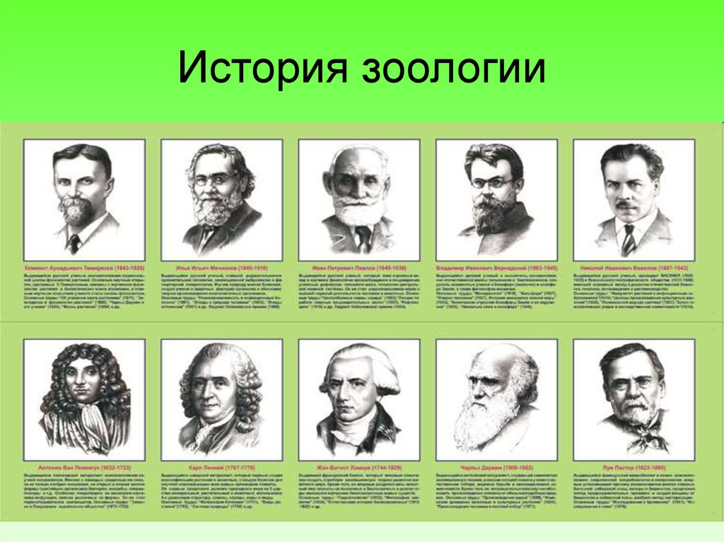 Российский ученый по биологии. Известные ученые биологи. Великие ученые биологи портреты. Таблица портреты учёных биологов. Открытия в биологии ученые и их открытия.