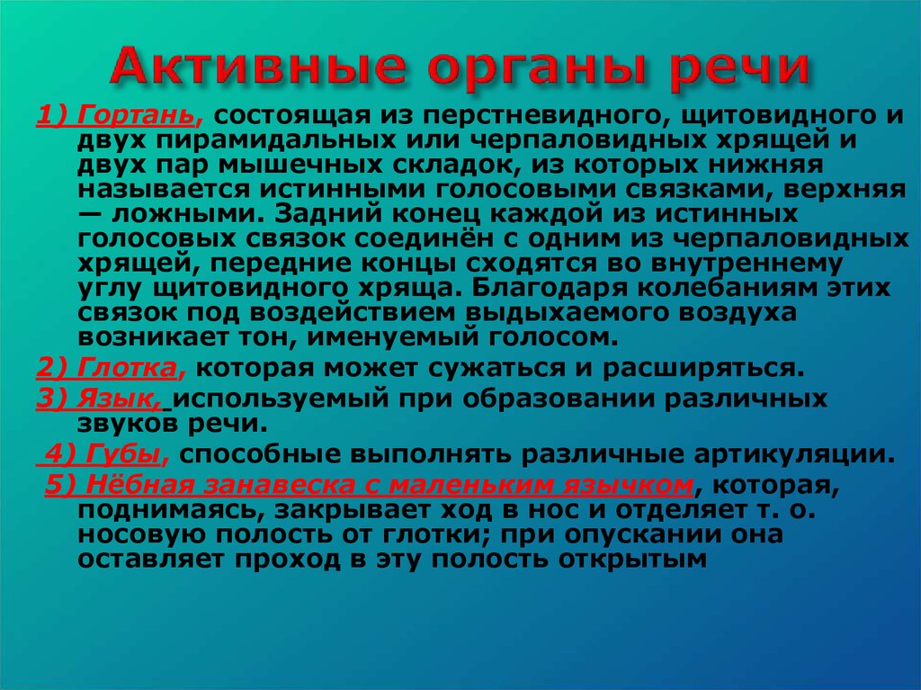 Органы речи. Активные органы речи. К активным органам речи относятся. Активные и пассивные речевые органы. К пассивным органам речи относятся.