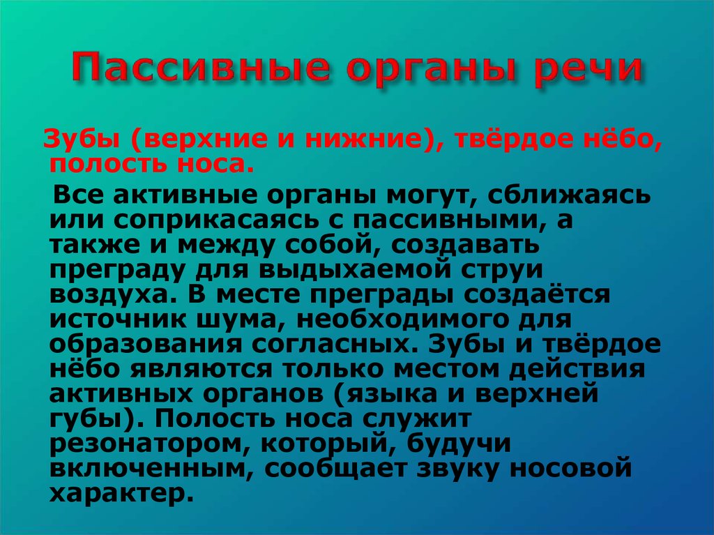 Органы речи. Активные органы речи. Пассивные органы произношения - это. Активные и пассивные органы речи. Активные и пассивные органы речевого аппарата.