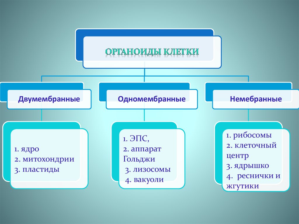 Строение клетки теория