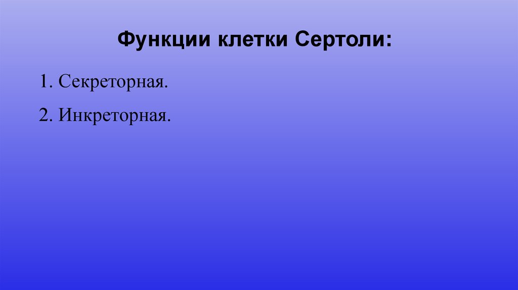 Функции клетки Сертоли: