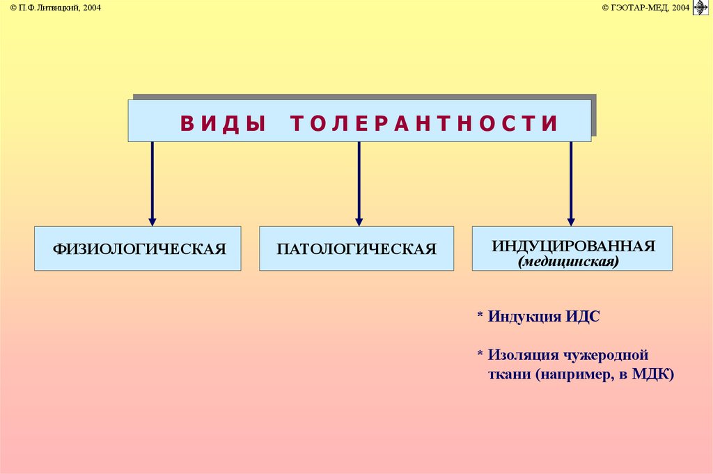 Иммунопатология патофизиология презентация