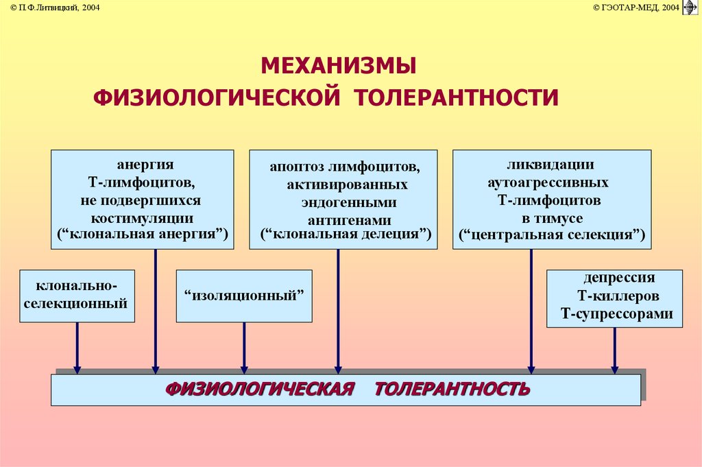 Иммунопатология патофизиология презентация