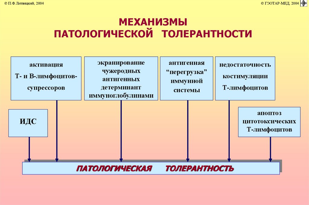 Иммунопатология патофизиология презентация