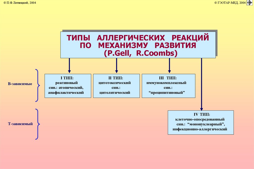 Иммунопатология патофизиология презентация