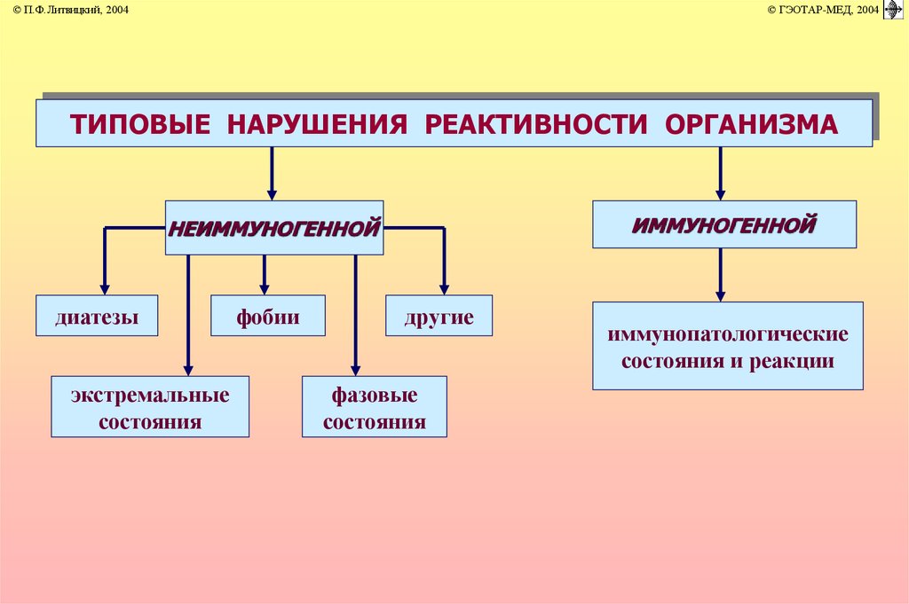 Иммунопатология патофизиология презентация