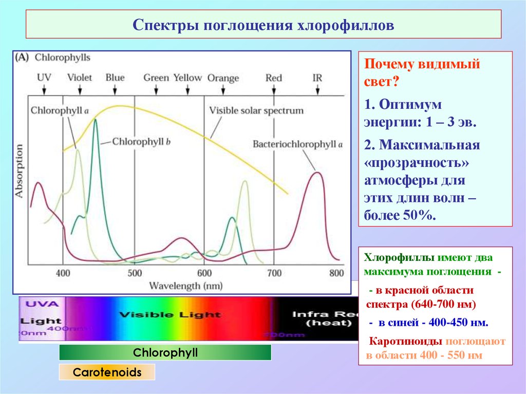 Спектр поглощения фото