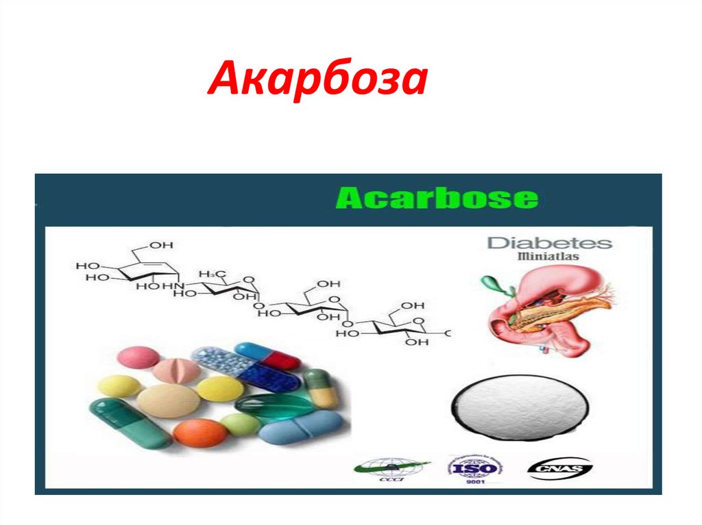 Акарбоза (торговое название Глюкобай) - online presentation