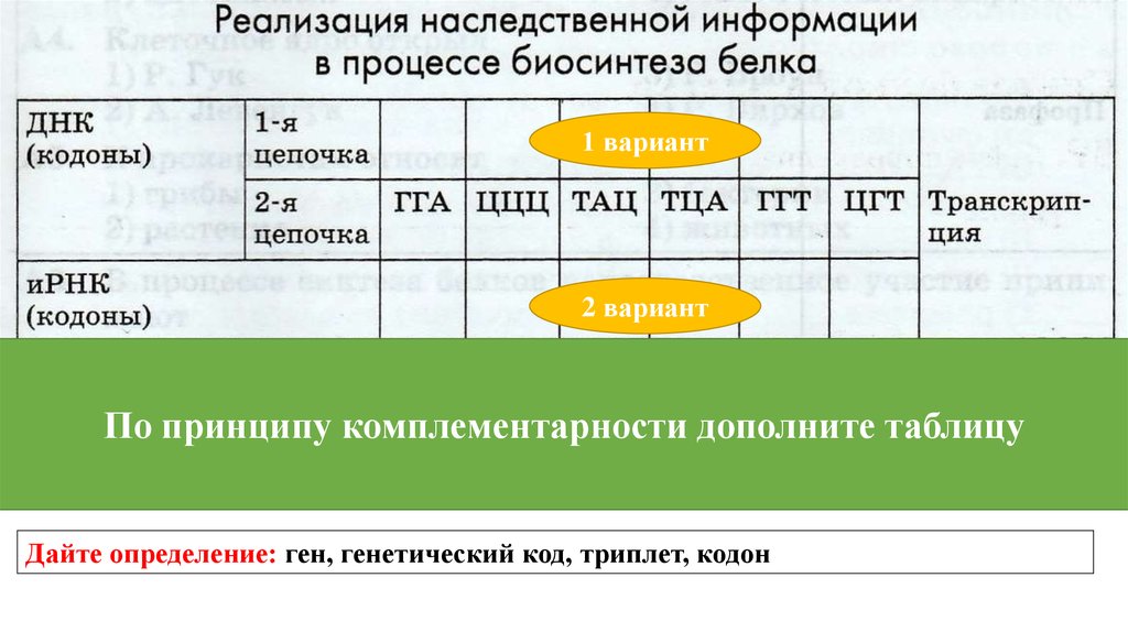 Днк в процессе биосинтеза белка