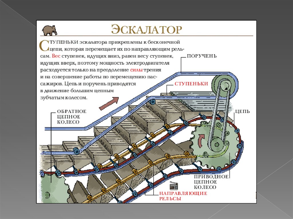 Может ли ленточный конвейер общего применения иметь криволинейную траекторию в плане