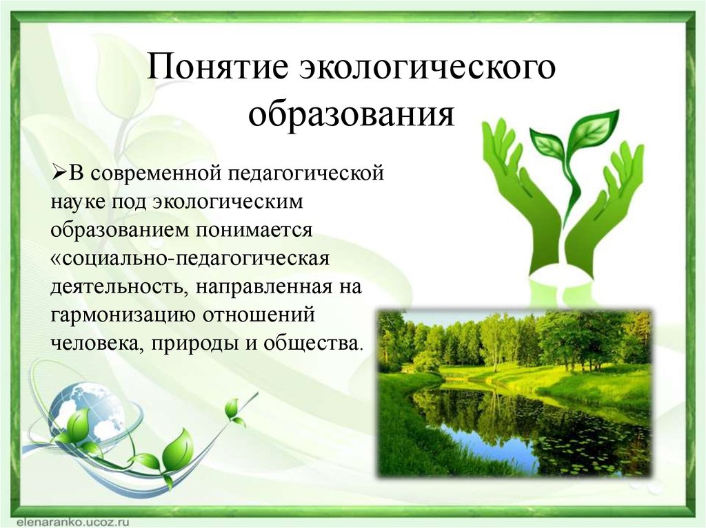 Непрерывное экологическое образование. Экологические понятия. Концепция экологического образования. Понятие экология. Экологизация образования.