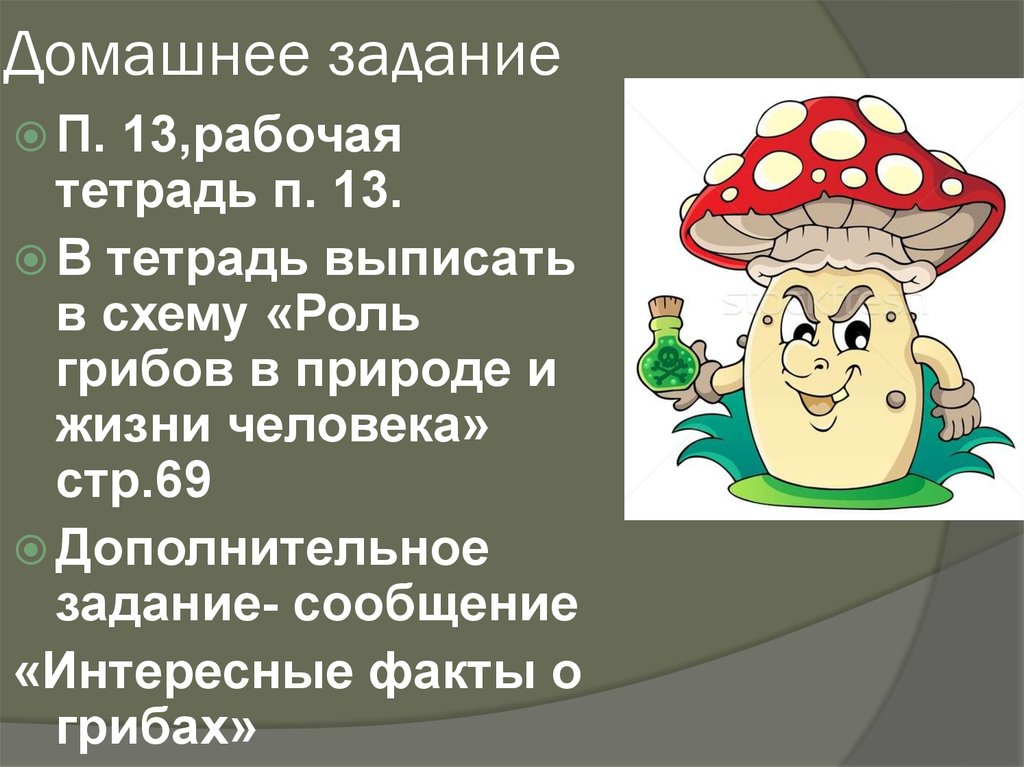 Домашнее задание