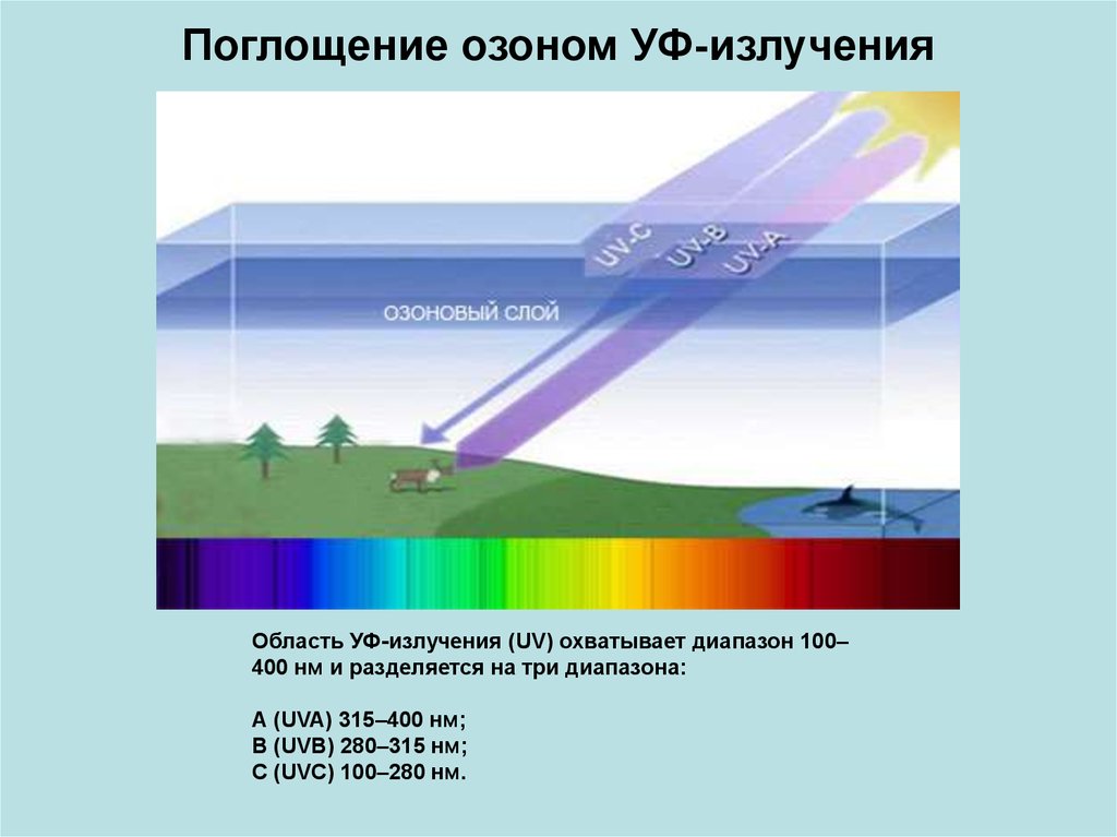 Озоновый слой какой слой атмосферы