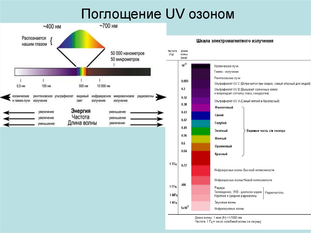 Частота синей волны. Спектр ИК видимый свет и УФ излучение длина волны. Спектр поглощения УФ озона. Световой спектр. Красный спектр света.