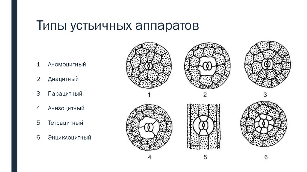 Ar схема строения