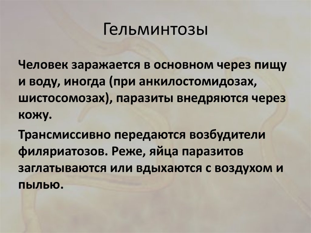 Гельминтозы